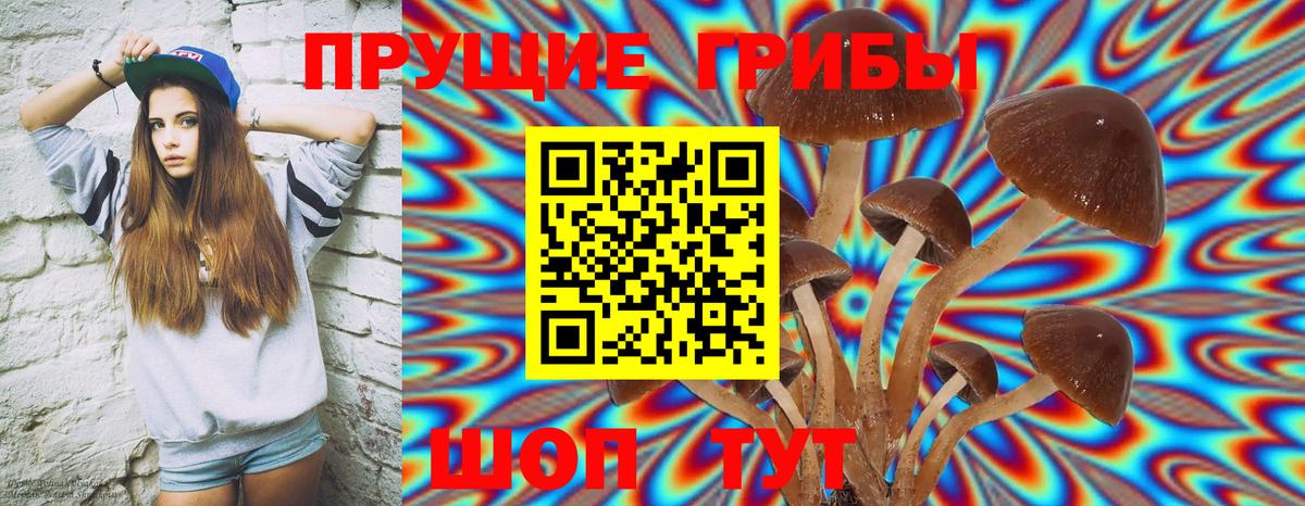 Сарапул  Псилоцибиновые грибы ЛСД  Вход с VPN  Галлюциногенные грибы ЛСД 