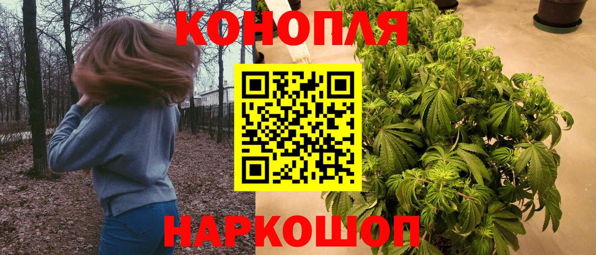 Каннабис OG Kush Сарапул